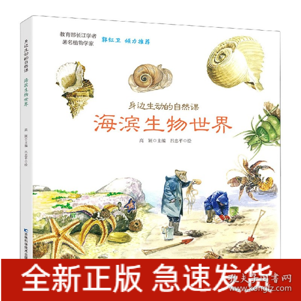 身边生动的自然课-海滨生物世界