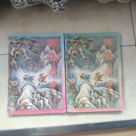 邪侠杀手 上中