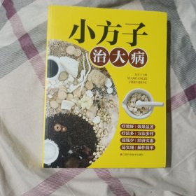 小方子治大病 中医书籍养生偏方大全民间老偏方美容养颜常见病防治 保健食疗偏方秘方大全小偏方老偏方中医健康养生保健疗法