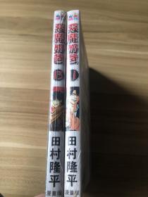 恶魔奶爸（11，13）两本合售