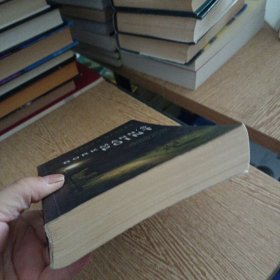 Borkmann's Point : An Inspector Van Veeteren Mystery（几处脱裂）——bb3(dg)