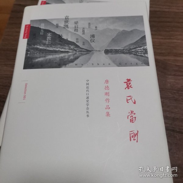 袁氏当国：唐德刚作品集之一