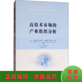 高技术市场的产业组织分析