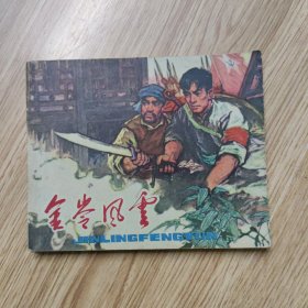 金岭风云