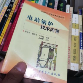 石油化工设备技术问答丛书：电站锅炉技术问答