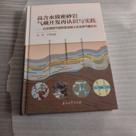 高含水致密砂岩气藏开发再认识与实践--以苏里格气田东区北部上古生界气藏为例(精)