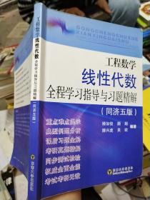 工程数学线性代数全程学习指导与习题精解（同济5版）