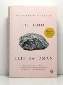 艾莉夫·巴图曼《白痴》The Idiot by Elif Batuman（美国文学）英文原版书