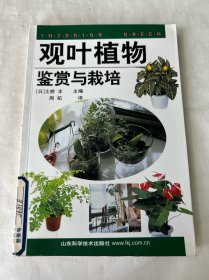 观叶植物鉴赏与栽培