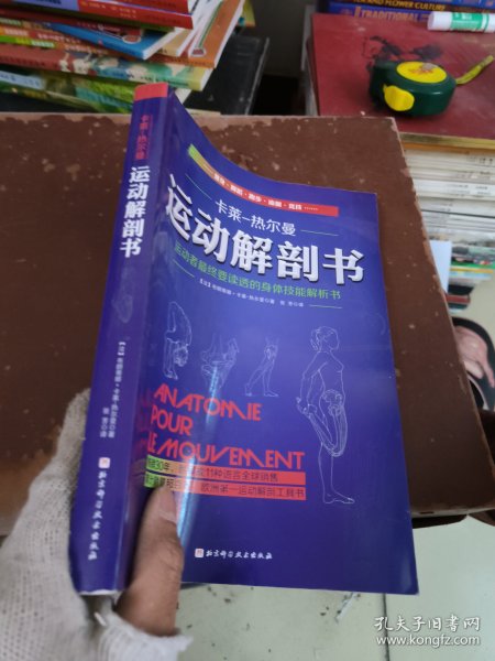 运动解剖书：运动者最终要读透的身体技能解析书