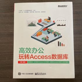 高效办公：玩转Access数据库