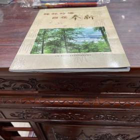 禅林竹海自在奉新【画册】【江西省奉新县，原名新吴，西汉开始建县，南塘更名奉新。地处赣西北，人文底蕴厚重自古以来人才辈出，生态环境怡人，境内“山峻、水秀、林茂、景盛”，】【奉新名片。百丈禅寺。人文荟萃。生态家园。新型工业。沃野流金。江南小城。文明和谐。投资指南。企业形象。】