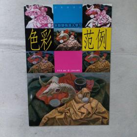 色彩水粉靜物深入學(xué)習(xí)范例