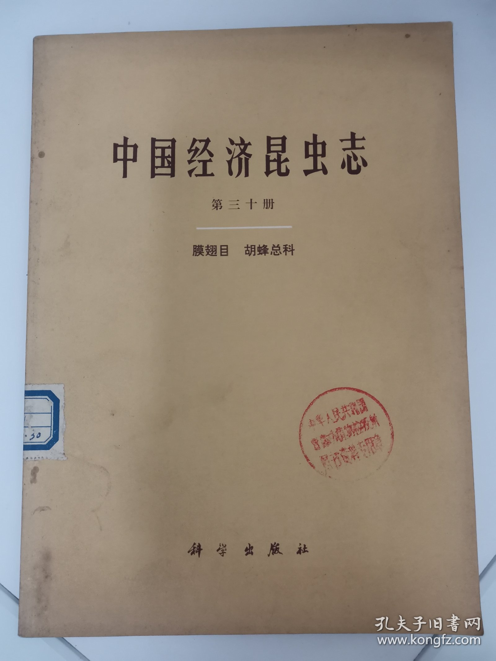 中国经济昆虫志（第三十册）膜翅目目胡蜂总科