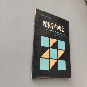 现象学的观念