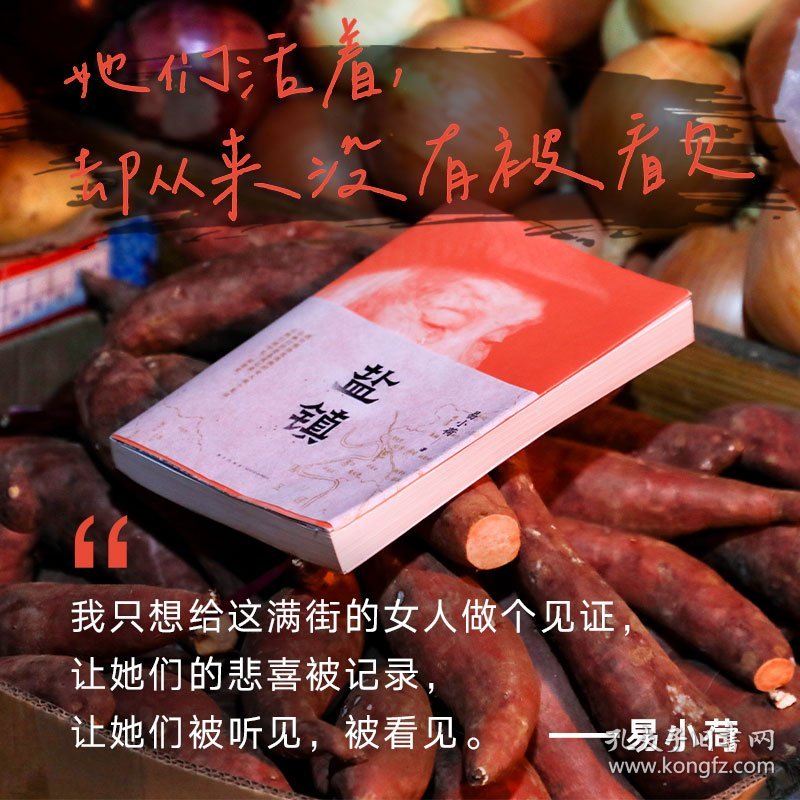 【正版库存书】中国当代纪实文学：盐镇