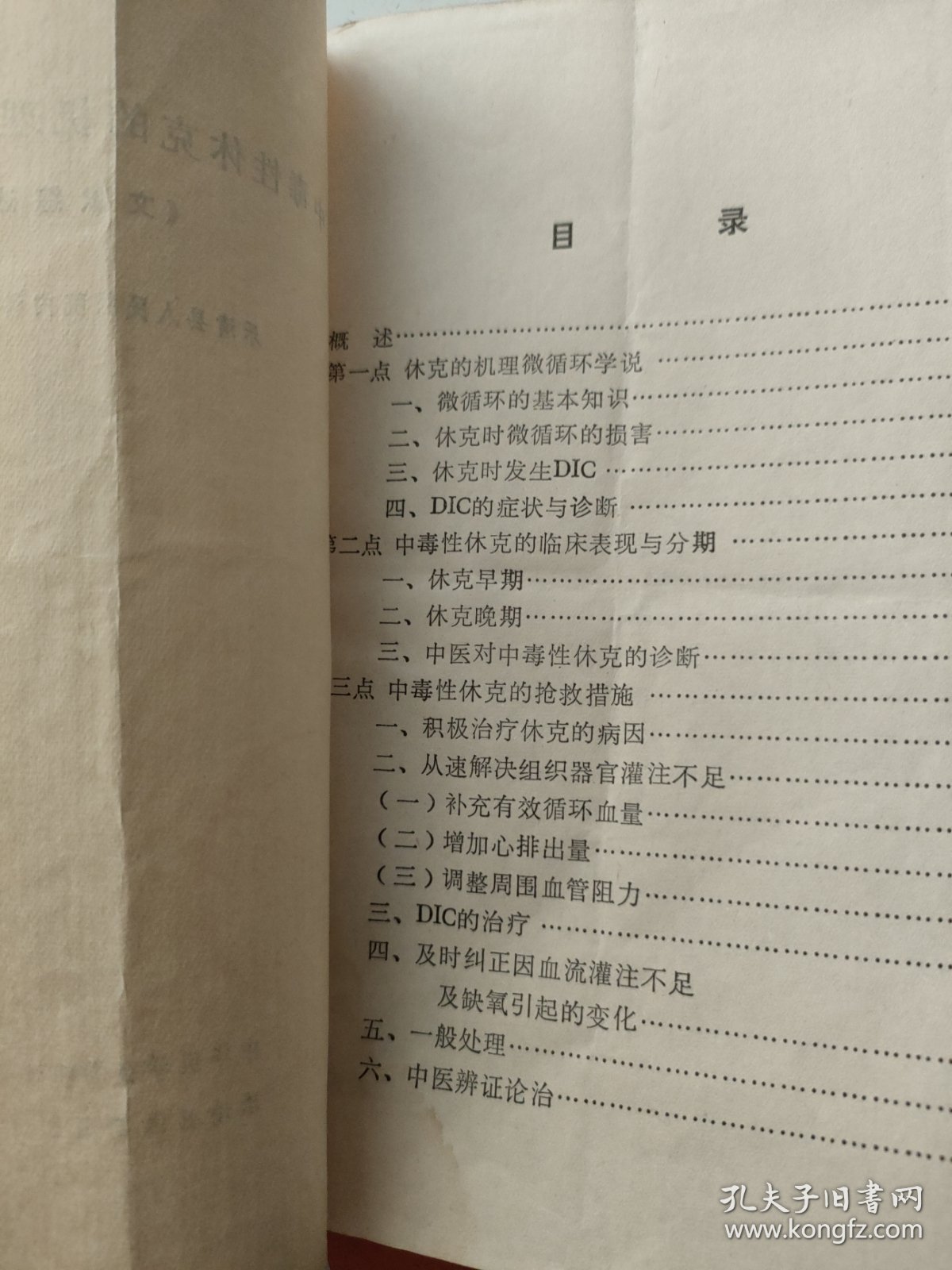 中毒性休克的机理及抢救措施（文献综述）乐清县人民医院 叶公茂 著