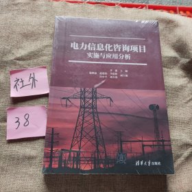 电力信息化咨询项目实施与应用分析