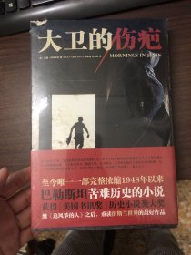 大卫的伤疤
