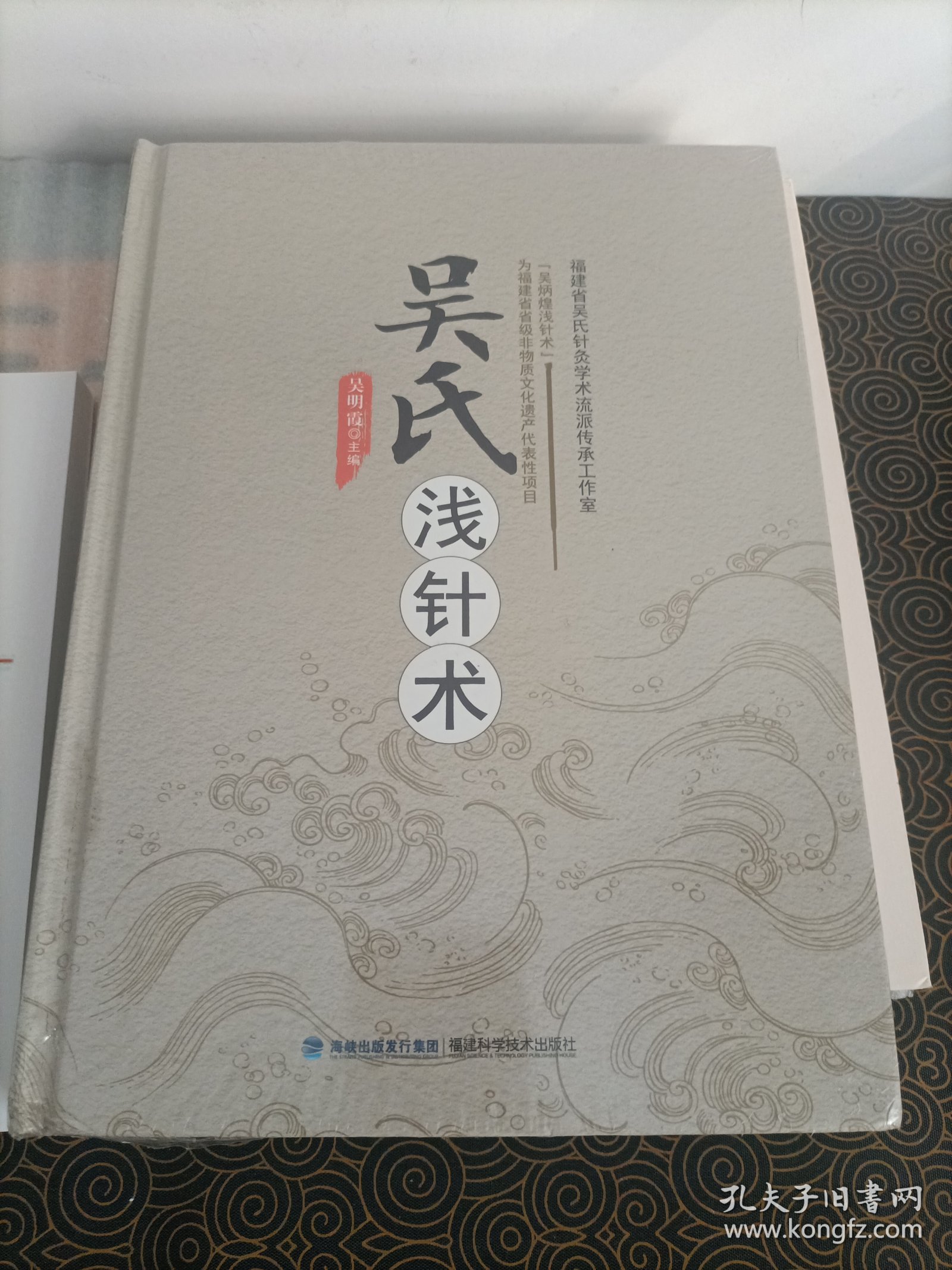 吴氏浅针术（精）