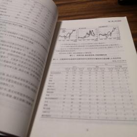 东航金融·衍生译丛·揭秘外汇市场：技巧、估值与策略（引进版）