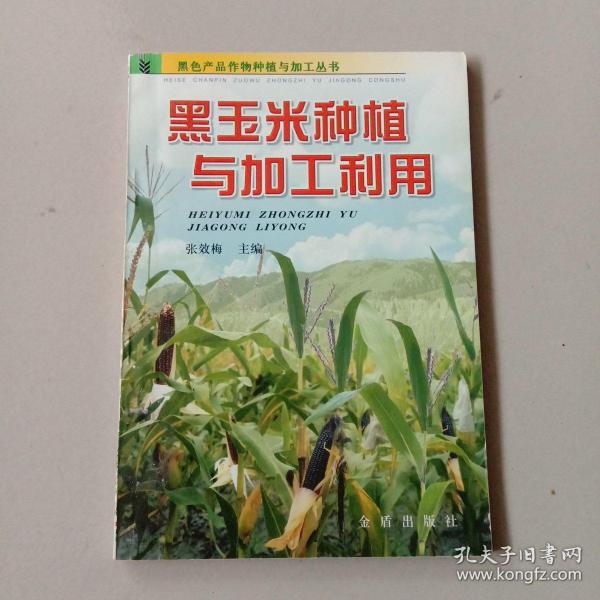 黑玉米种植与加工利用