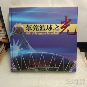 东莞篮球之光