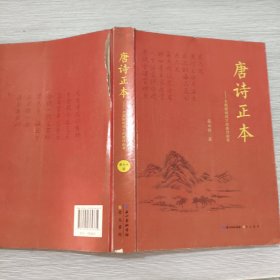 唐诗正本——大数据视域下的唐诗新考(16开)