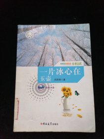 一片冰心在玉壶