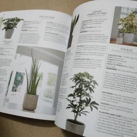 RHS Practical House Plant Book: Choose Well, Display Creatively, Nurture & Maintain, 175 Plant Profiles