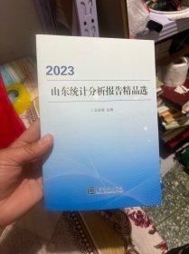 2023山东统计分析报告精品选