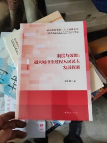 制度与效能：超大城市全过程人民民主发展探索