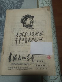 青海文化革命 第21期