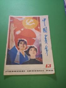 中国青年1981年13期