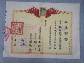 1953年安微省毕业证书35.5X26.5