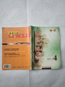 中篇小说选刊2003年4