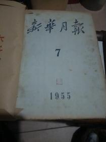 新华月报(1955-6)