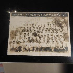 《泸州化工学校化机十六班毕业留影》1983.7.24