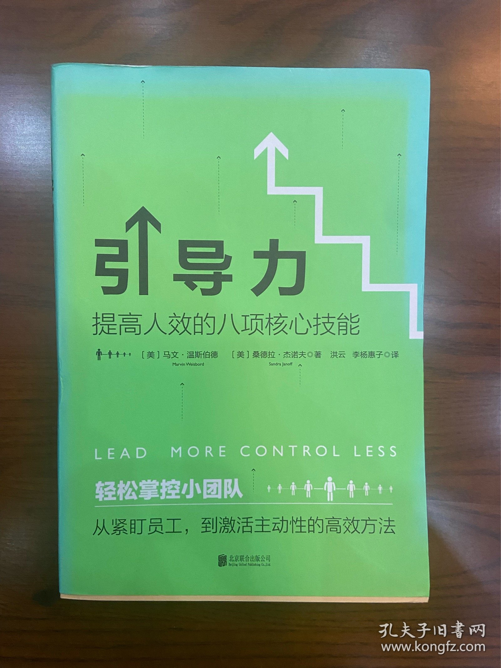 引导力：提高人效的八项核心技能（500强企业都在用的终极团队改造术）