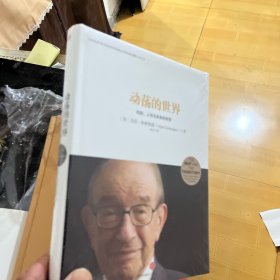 动荡的世界：风险，人性与未来的前景