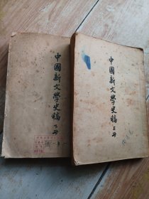 中国新文学史稿，上下册