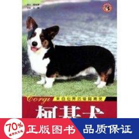 世界名犬-柯基犬 生活休闲 王晓  新华正版