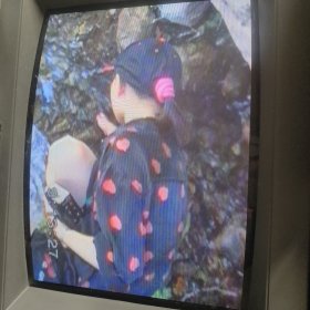 录像带，93年个人旅游(白杨沟，康乐宫)