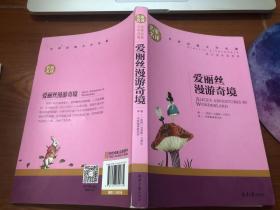 爱丽丝漫游奇境 中小学生课外阅读书籍世界经典文学名著青少年儿童文学读物故事书名家名译原汁原味读原著