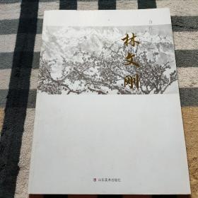 当代山东美术名家. 林文刚