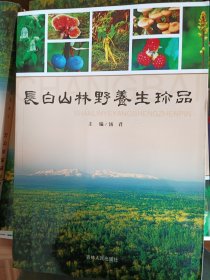 长白山林野养生珍品