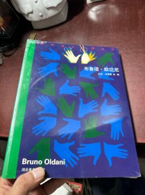 布鲁诺·欧达尼——国际设计大师丛书
