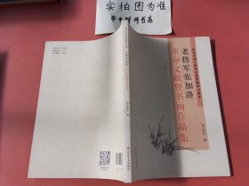 老将军张加洛 革命文献暨书画作品集