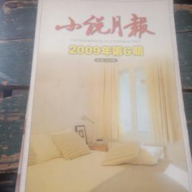 《小说月报》2009年6期（总第354期）