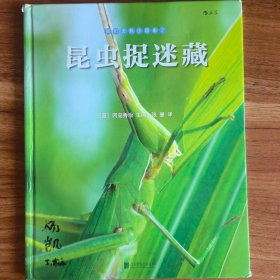 我们去找小昆虫2：昆虫捉迷藏